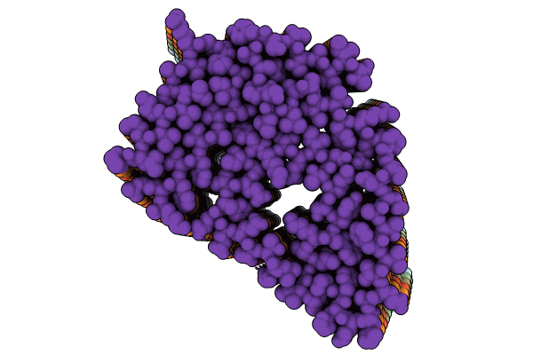 8PKG image