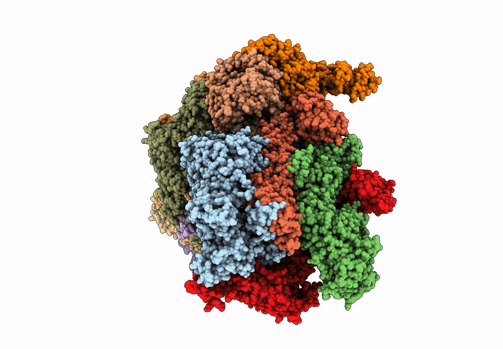 8PKP image