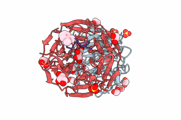 8PKU image