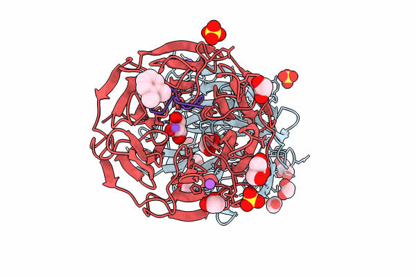 8PKV image