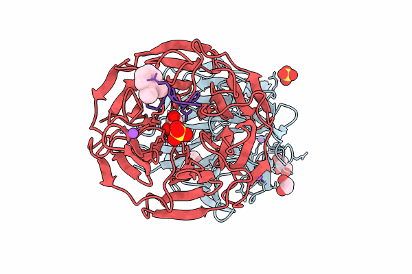 8PKW image