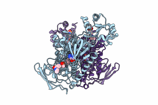 8PLB image
