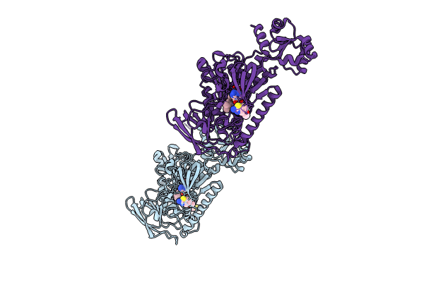 8PLF image