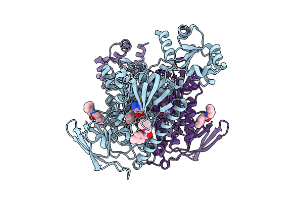 8PLO image