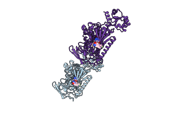 8PLX image