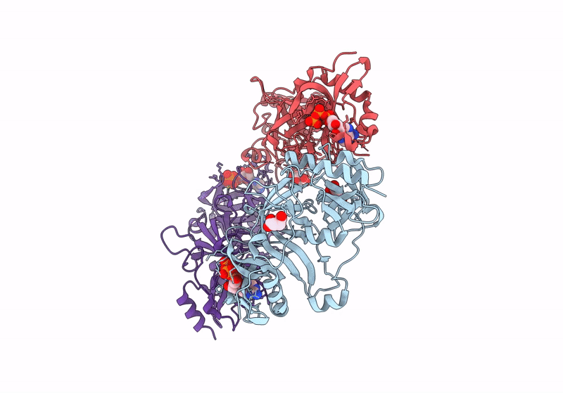 8PME image