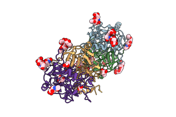 8PMR image