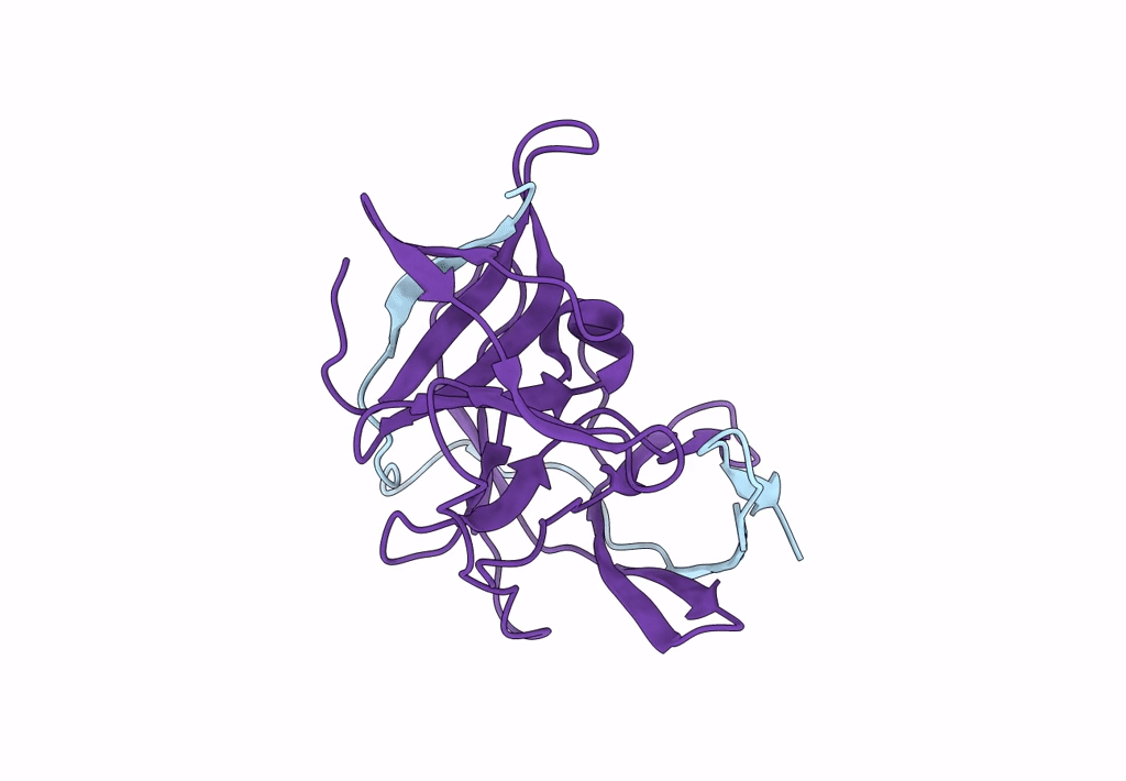 8PN6 image