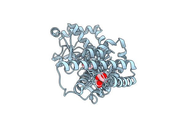 8PNH image