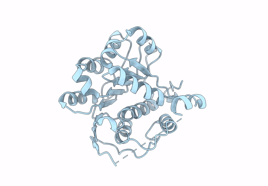8PNK image