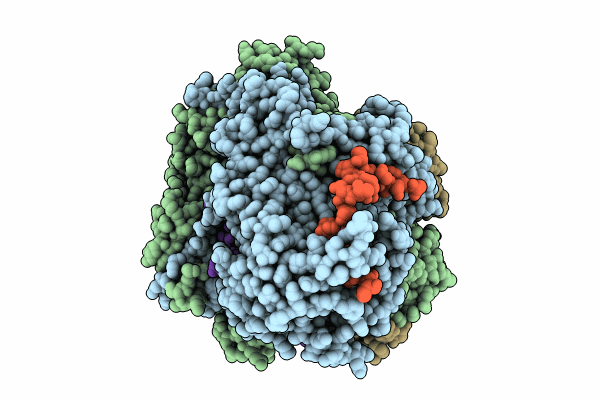 8PNQ image