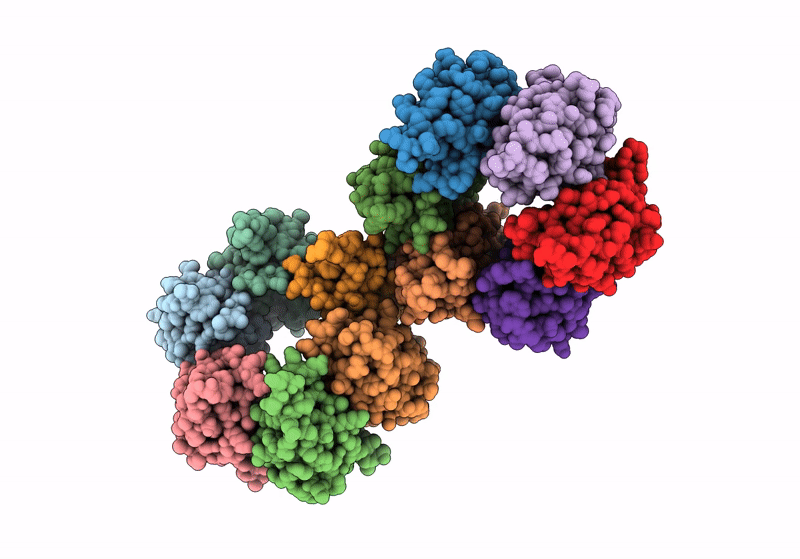 8PNR image