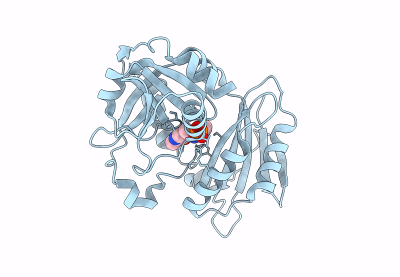 8PNY image
