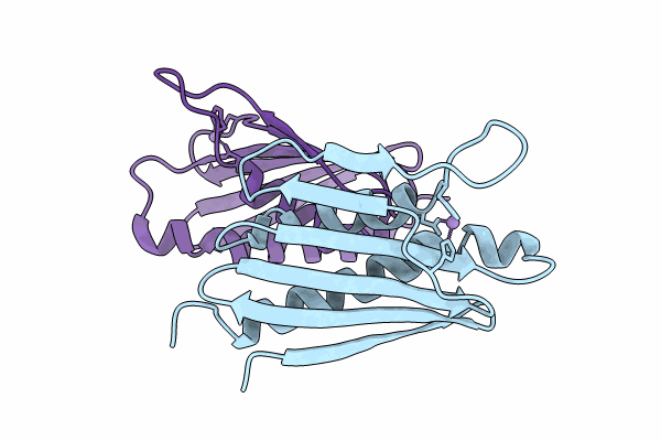 8PO5 image