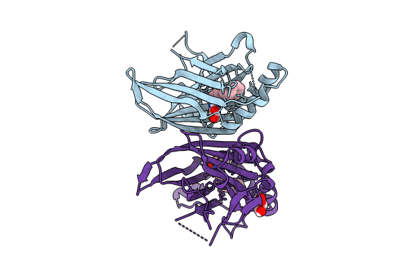 8POM image