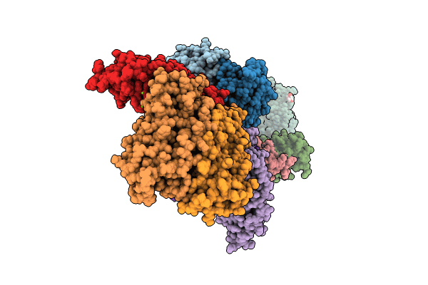 8PP2 image