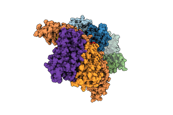 8PP3 image