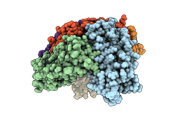 8PP5 image