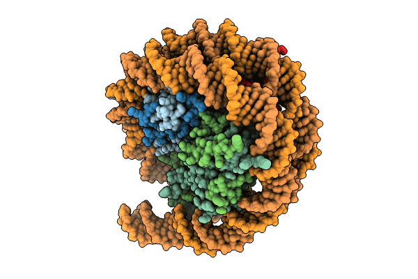 8PP6 image