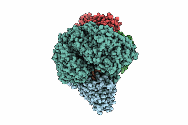 8PPT image