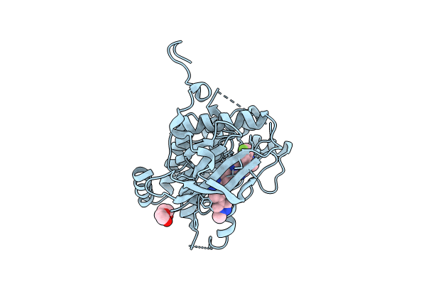 8PQI image