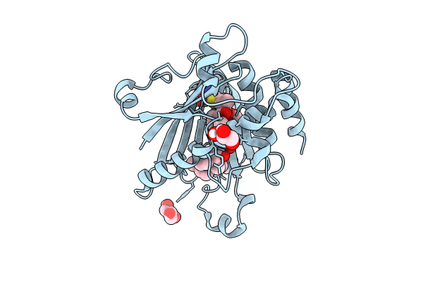 8PQO image