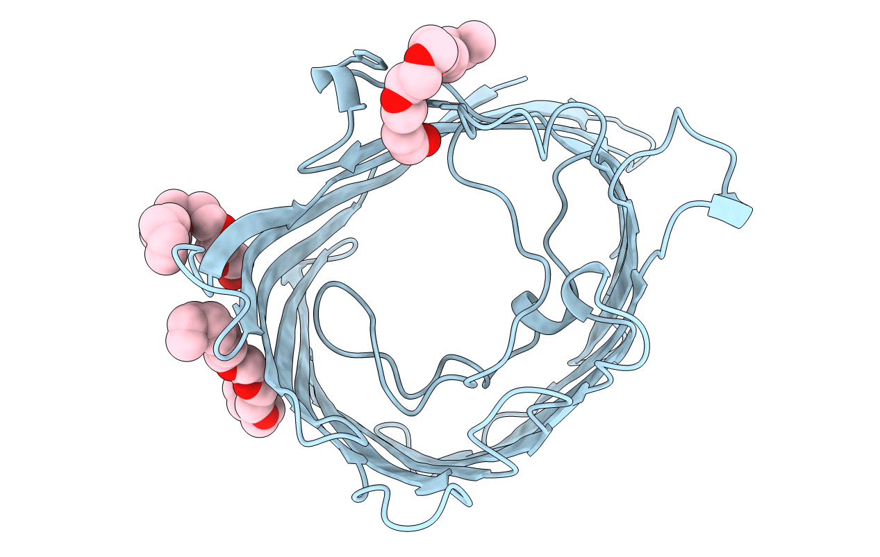 8PRN image