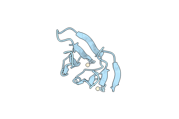 8PRP image