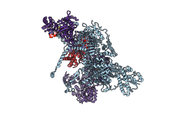 8PRV image