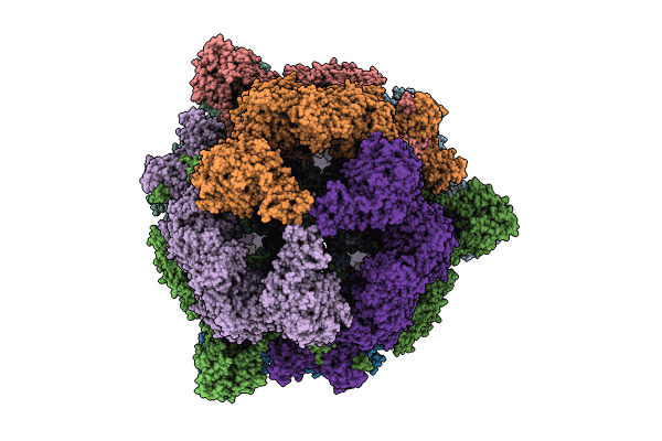 8PRW image
