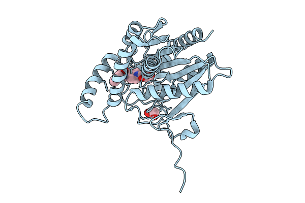 8PTC image