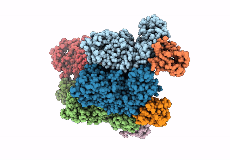 8PTP image