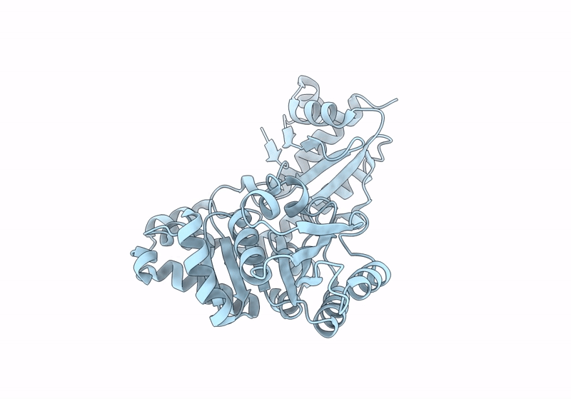 8PUS image