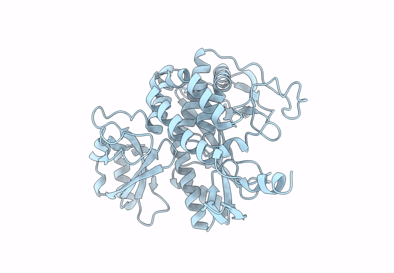 8PVG image