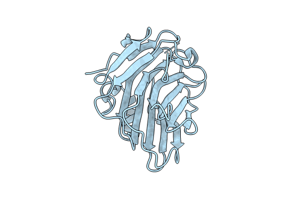 8PVQ image