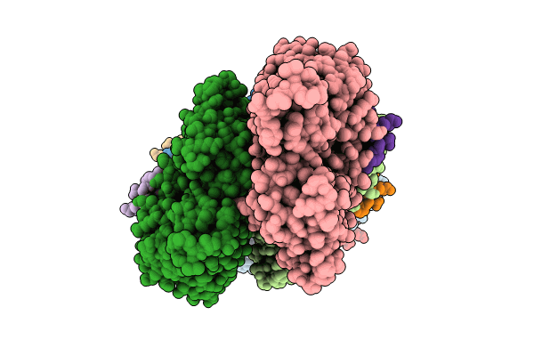 8PVX image
