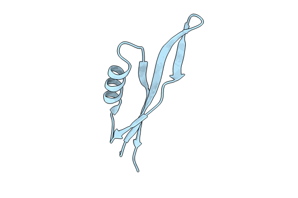 8PW2 image