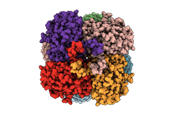 8PW3 image