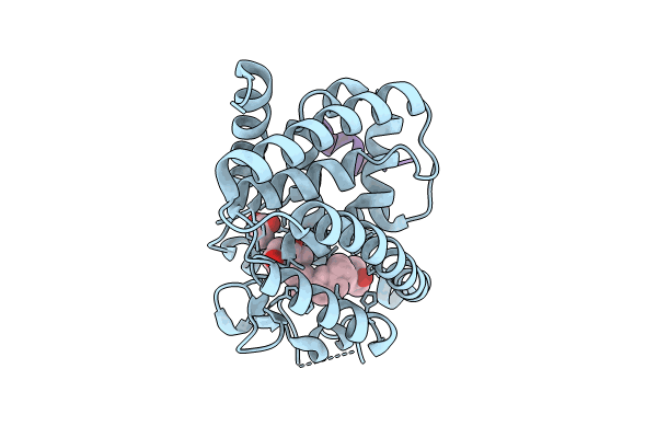 8PWE image