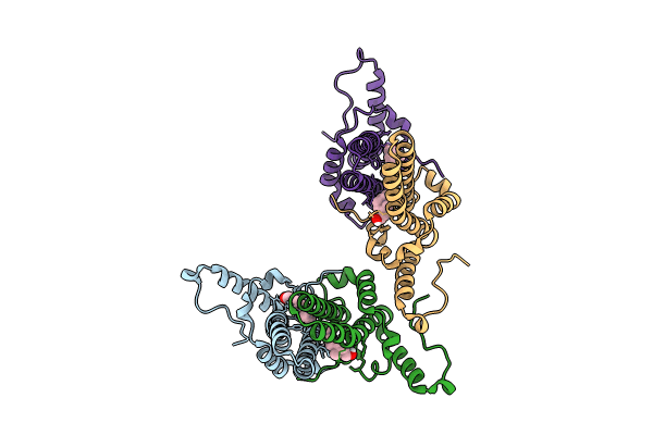 8PWO image