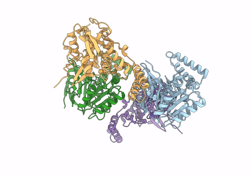 8PX1 image