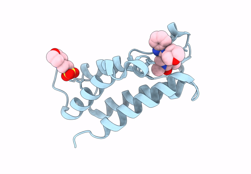 8PX2 image