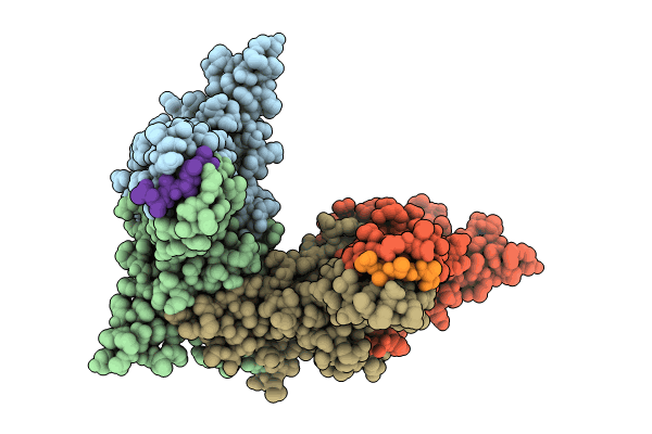 8PX3 image