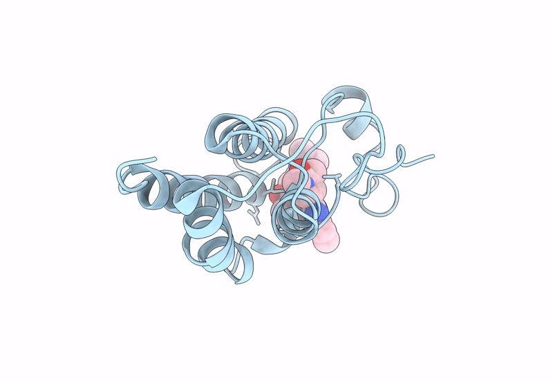 8PXA image