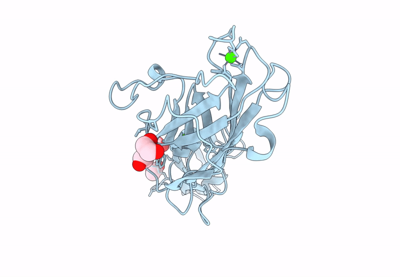 8PXC image
