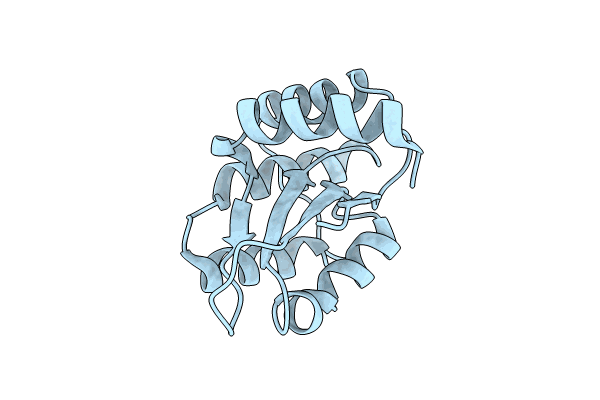 8PXD image