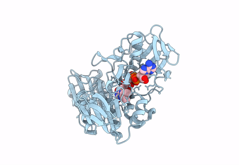 8PXK image