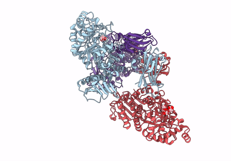 8PXV image