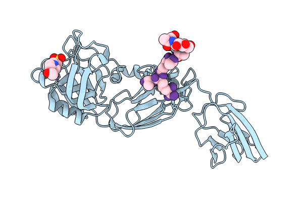 8PXY image
