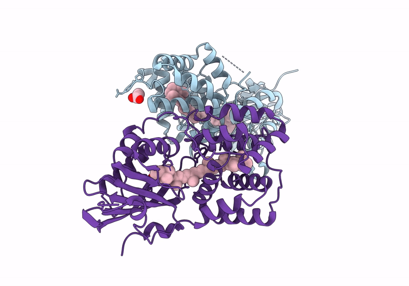 8PYH image